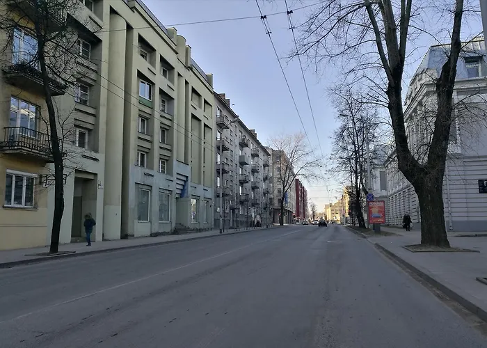 Vilnius Town Apartment