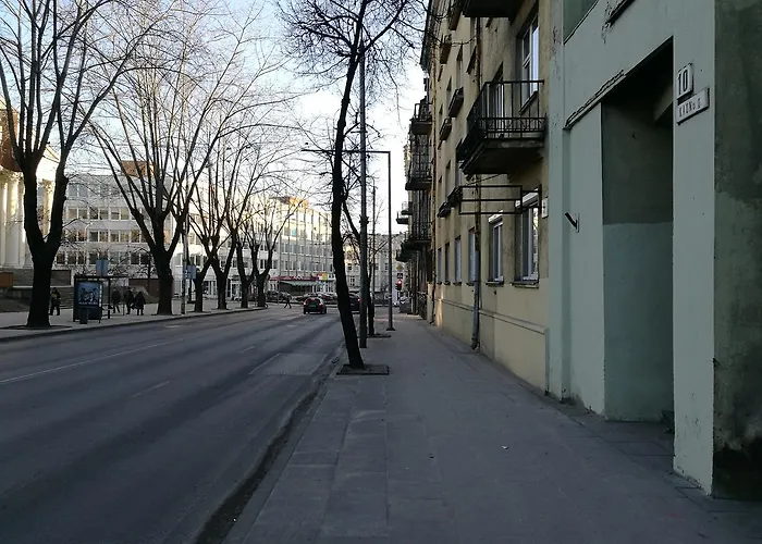Vilnius Town Apartment