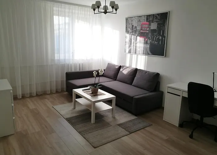 Vilnius Town Apartment