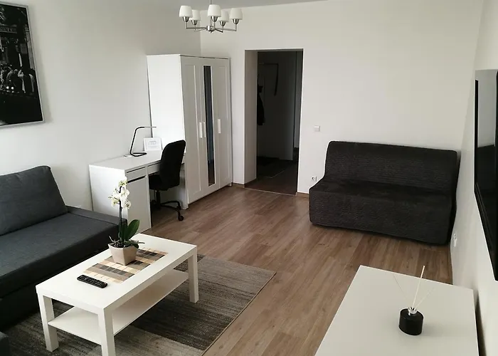 Vilnius Town Apartment
